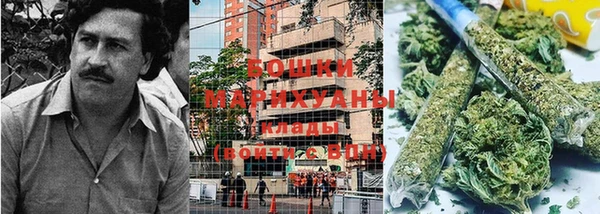 гидропоника Балахна