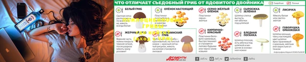 дурь Балабаново