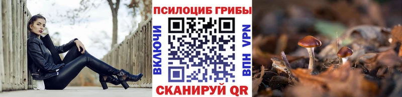 дарнет шоп  Крымск  Псилоцибиновые грибы ЛСД 